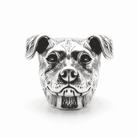 Pitbull / American Bully