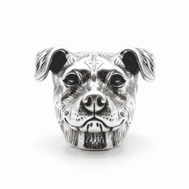 charm_pitbull