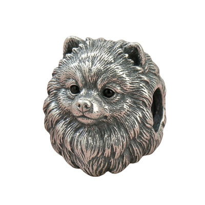 Charm Perro Pomerania