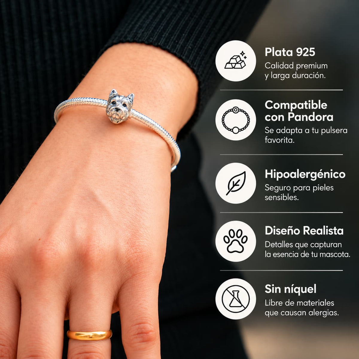 Charms Perros Plata 925 + Pulsera de Regalo