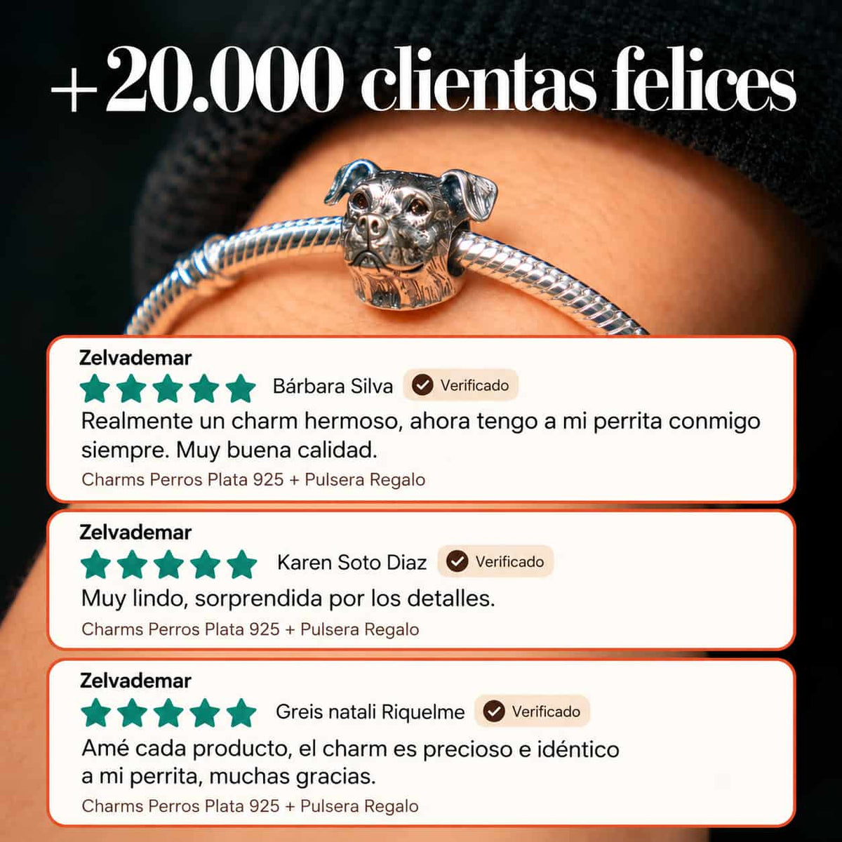 Charms Perros Plata 925 + Pulsera de Regalo