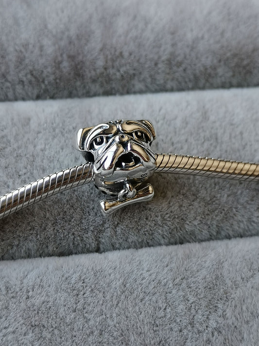 Charm Bulldog Inglés