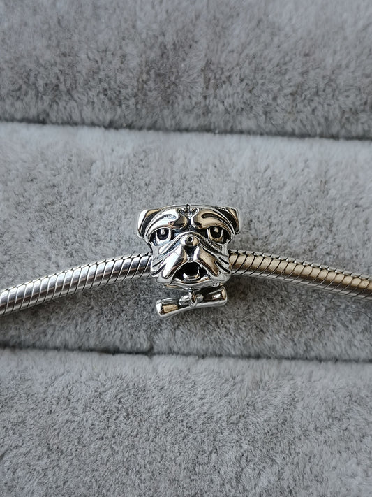 Charm Bulldog Inglés