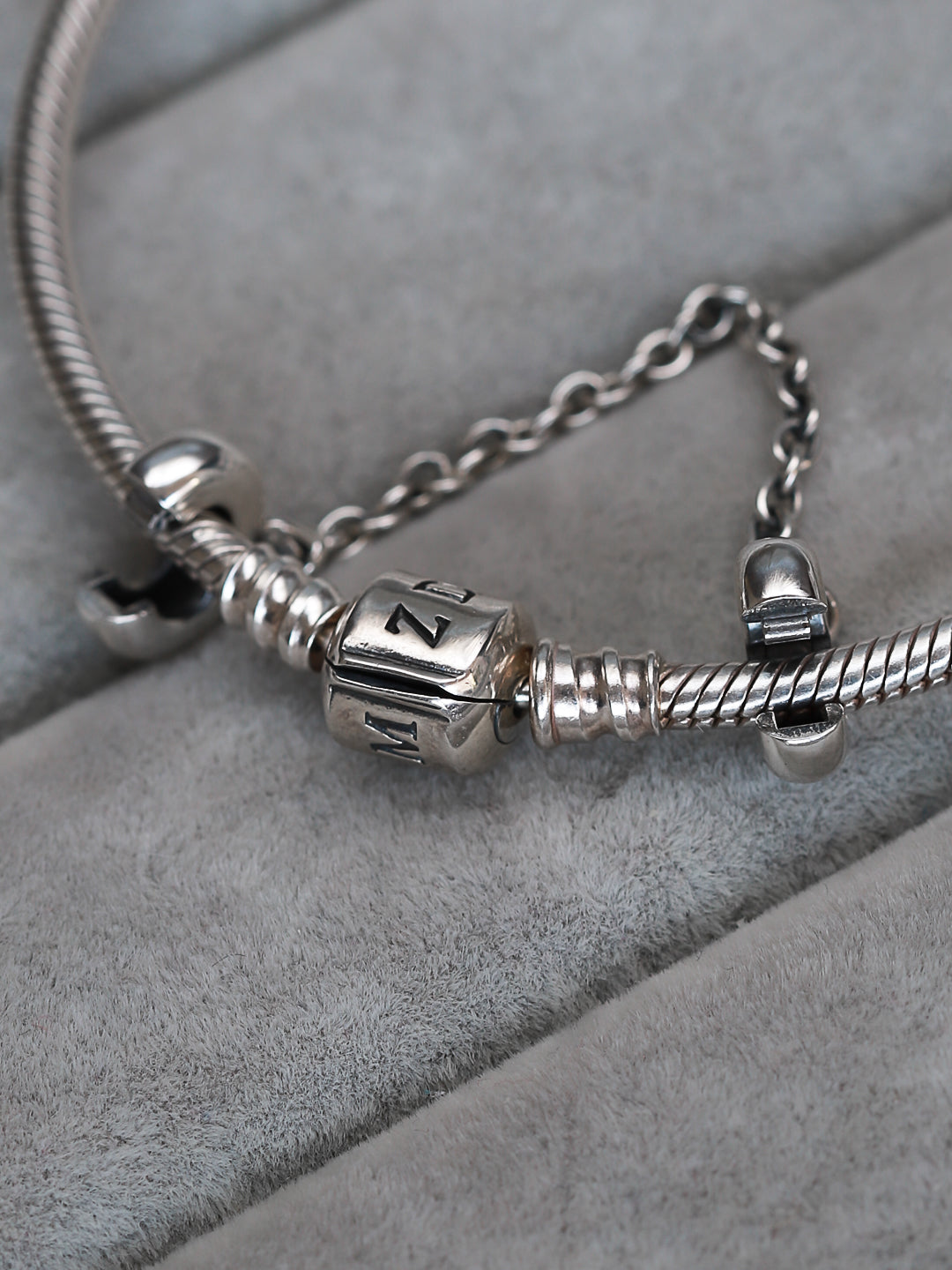 Cadena de Seguridad Plateada con Clip